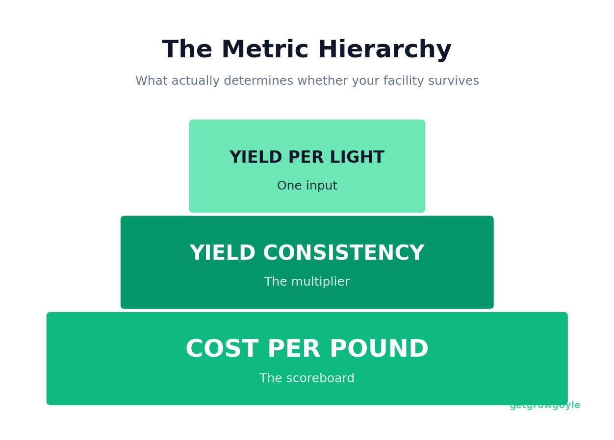The metric hierarchy: cost per pound is the scoreboard, consistency is the multiplier, yield per light is one input.