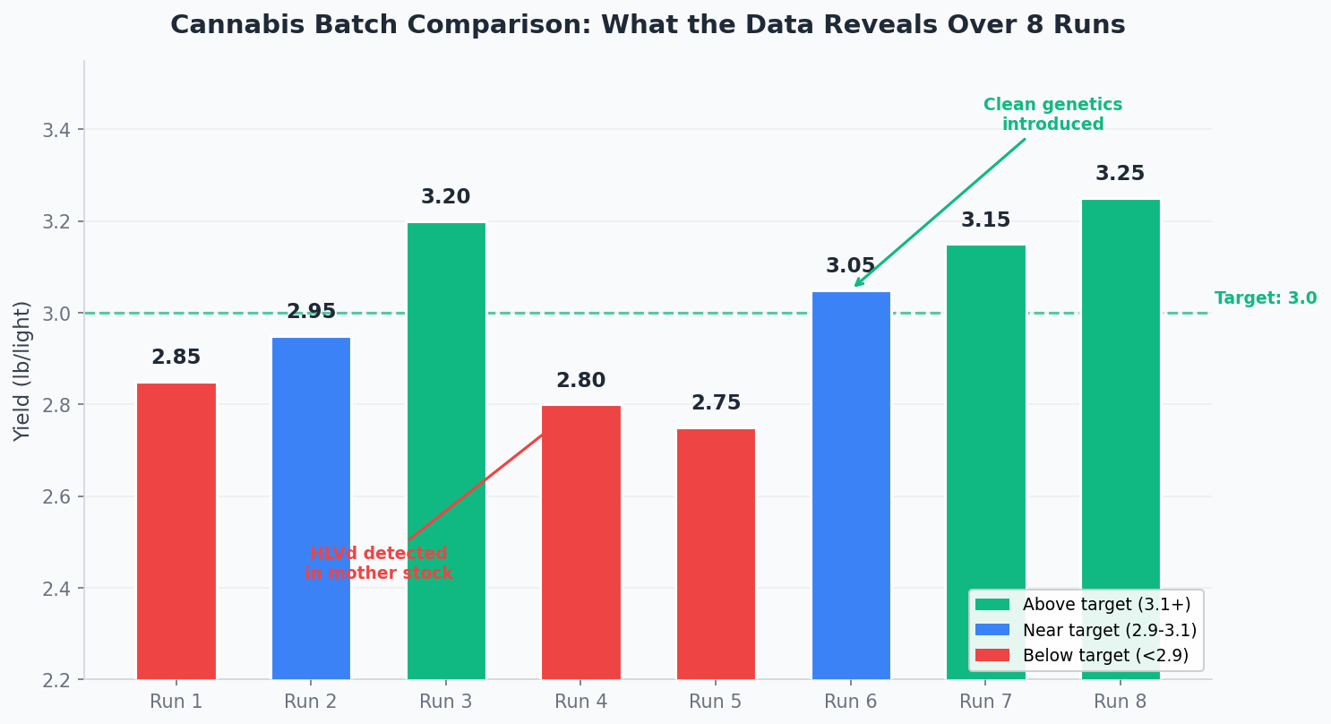 Cannabis yield trend over 8 runs with annotations showing what batch comparison identified