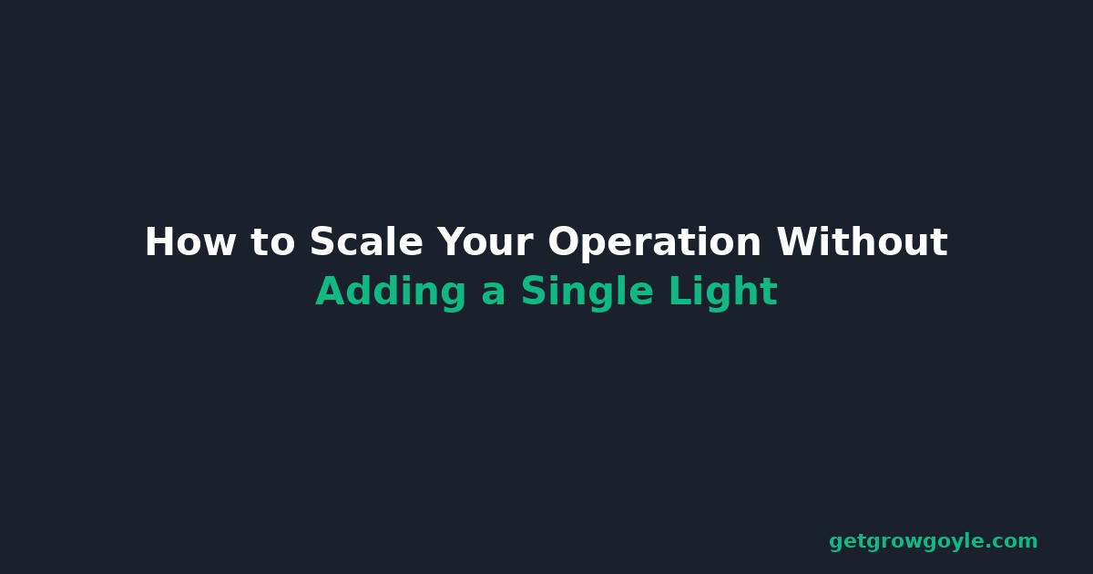 How to Scale Your Operation Without Adding a Single Light