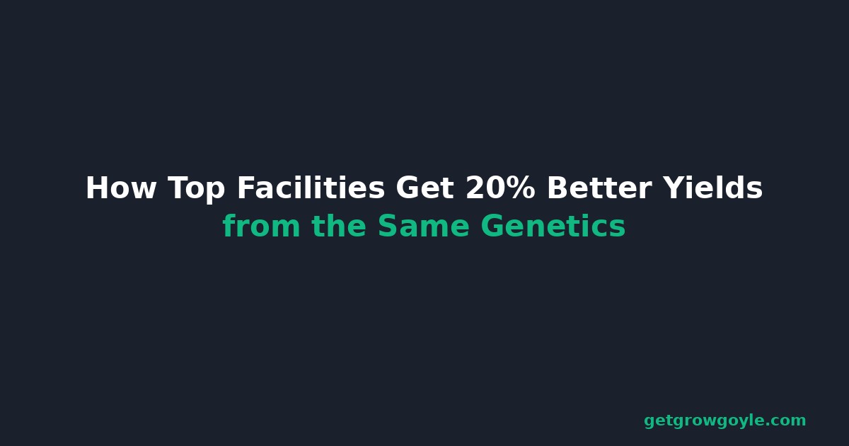 How Top Facilities Get 20% Better Yields from the Same Genetics
