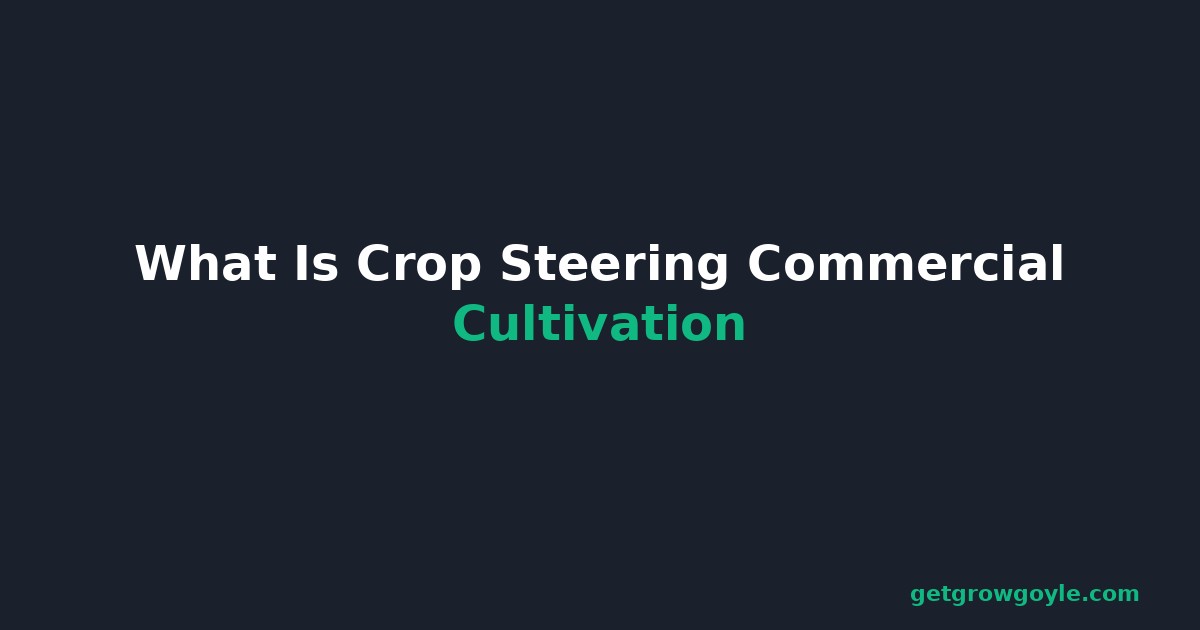 What Is Crop Steering Commercial Cultivation