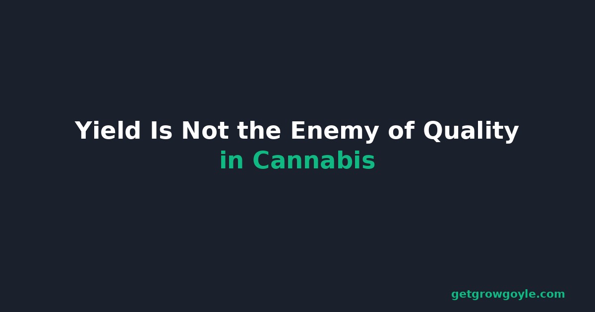 Yield Is Not the Enemy of Quality in Cannabis