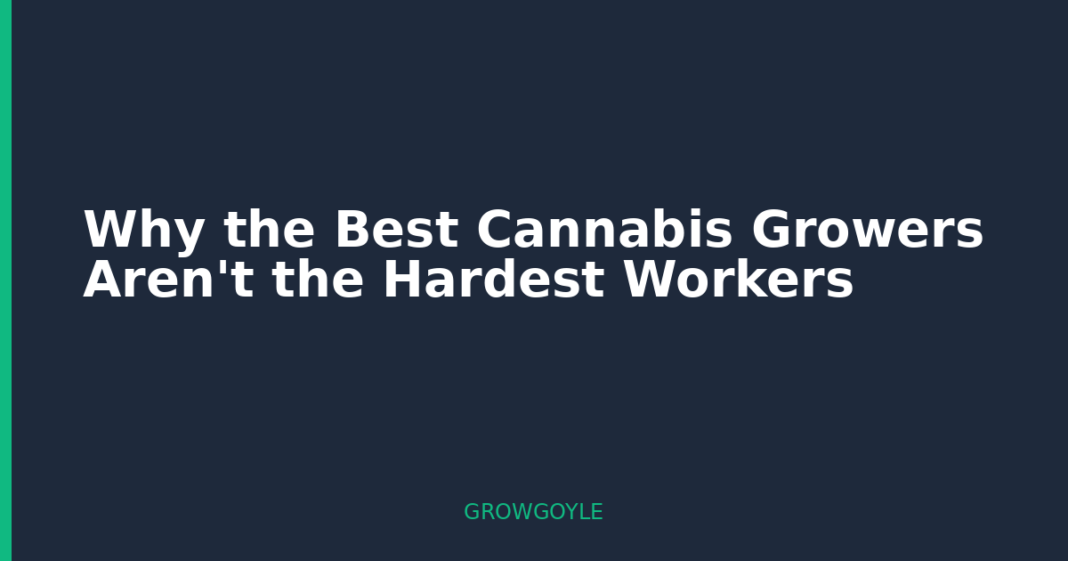 Why the Best Cannabis Growers Aren’t the Hardest Workers