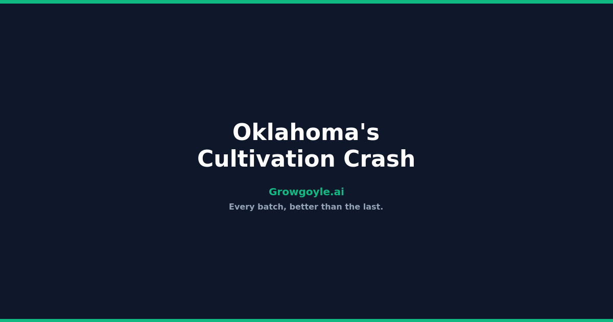 Oklahoma’s Cultivation Crash: Lessons Every Commercial Grower Needs to Hear