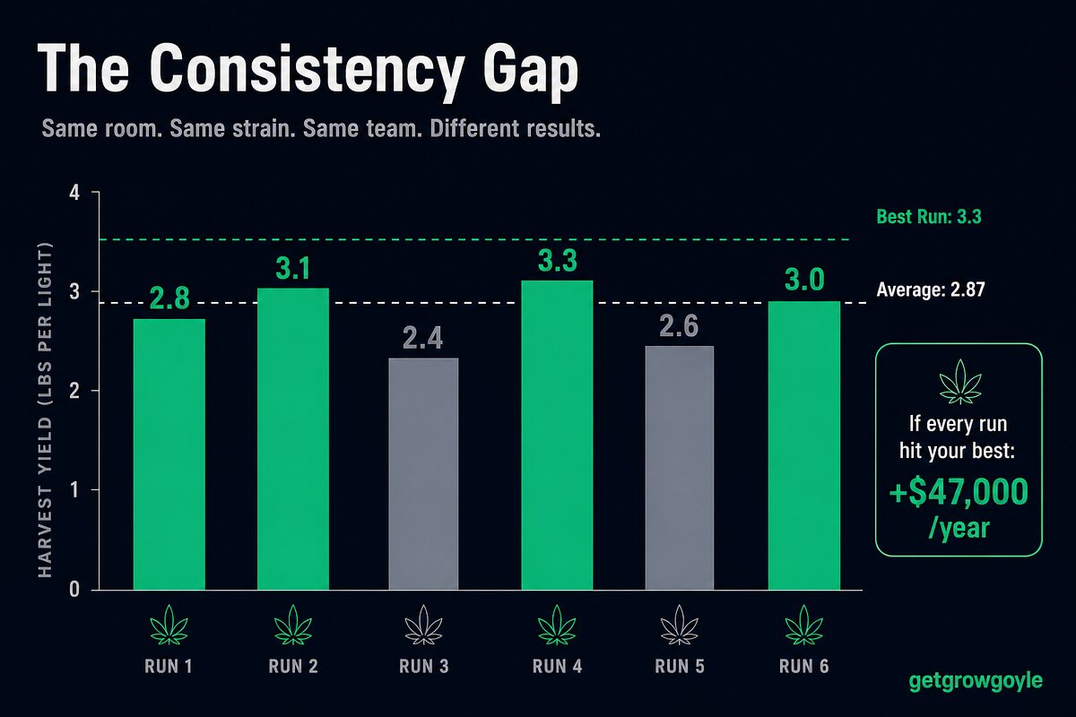 Cannabis yield consistency gap across harvest cycles showing the dollar cost of variation