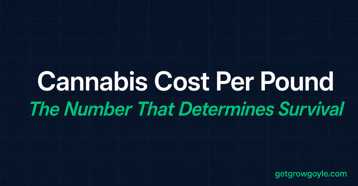Cannabis Cost Per Pound: The Number That Determines Survival