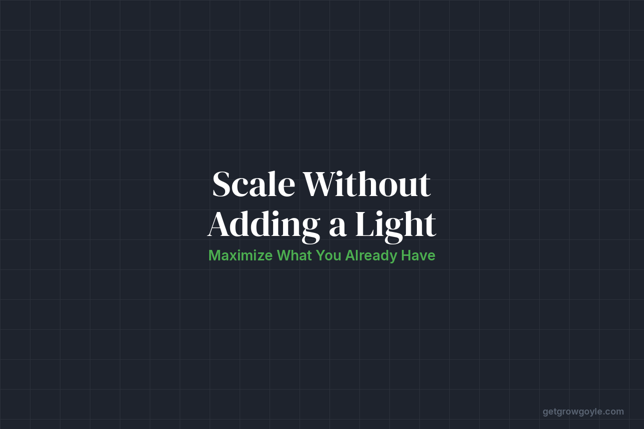 How to Scale Your Operation Without Adding a Single Light