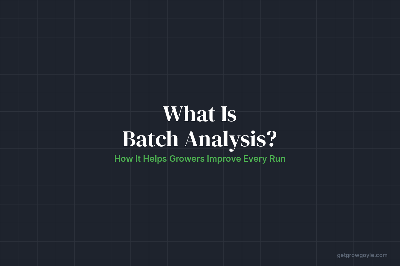 What is AI Batch Analysis? How It Helps Growers Improve Every Run