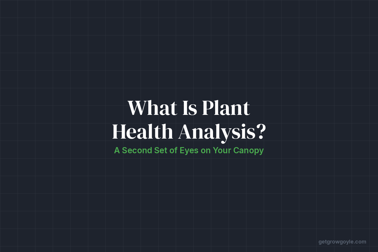 What is AI Plant Health Analysis? A Second Set of Eyes on Your Canopy