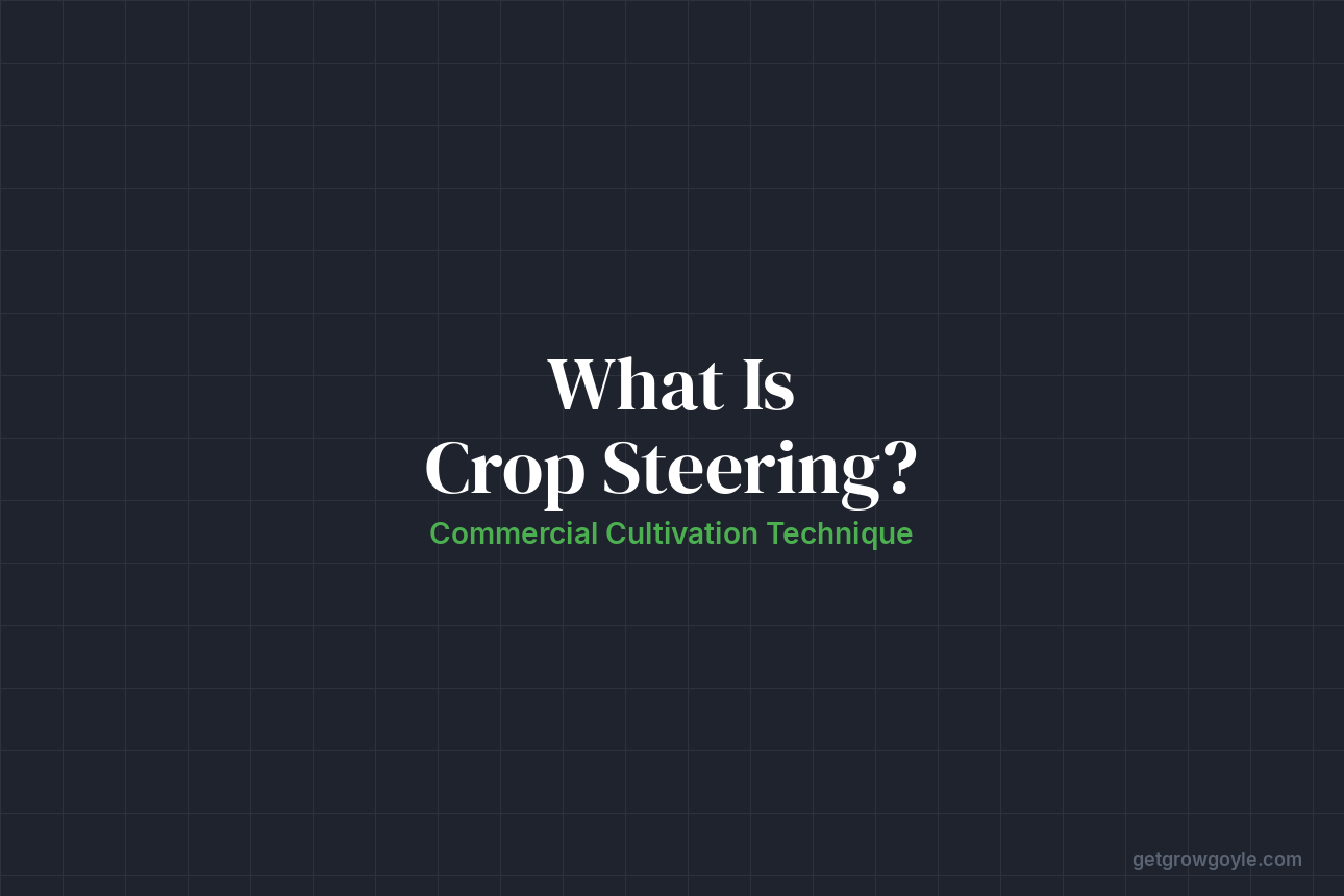 What Is Crop Steering Commercial Cultivation