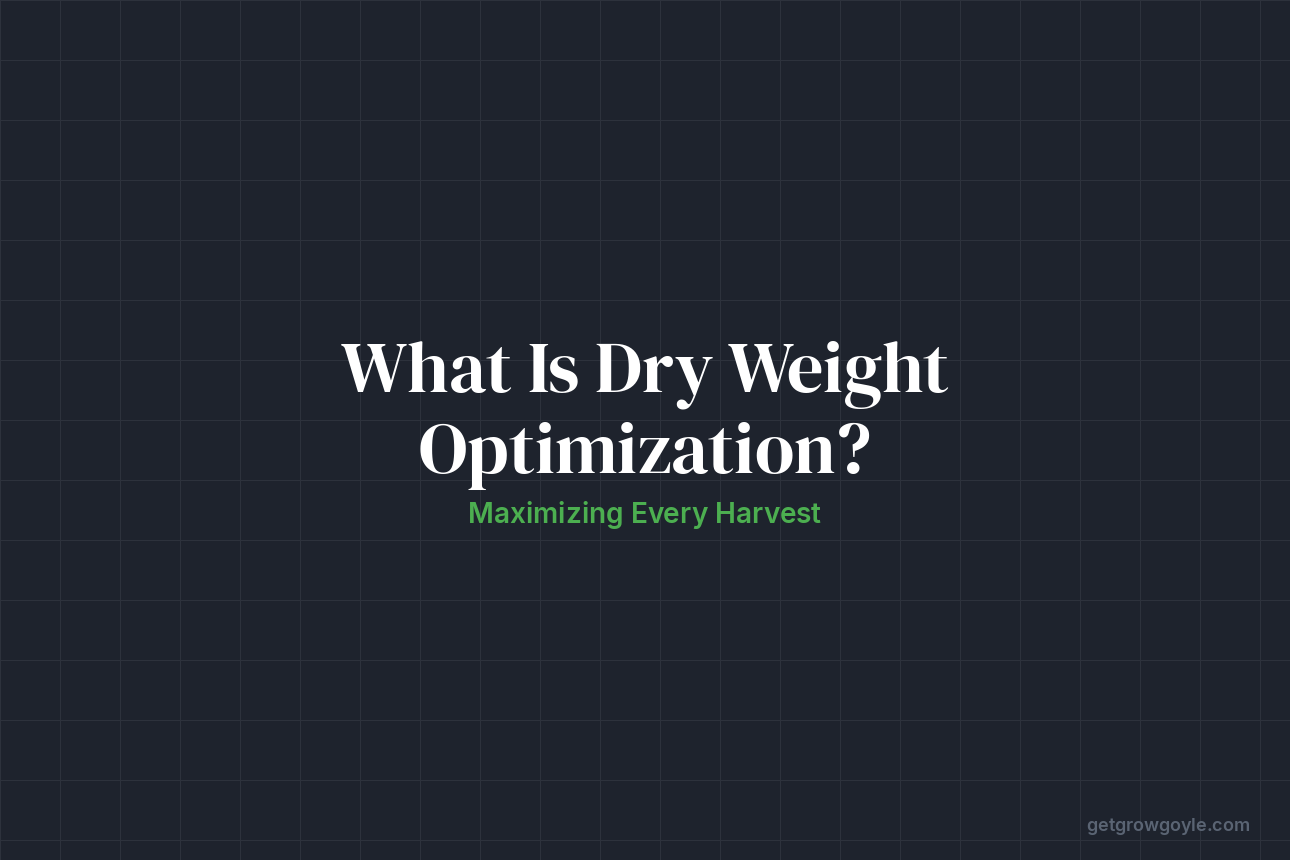 What Is Dry Weight Optimization