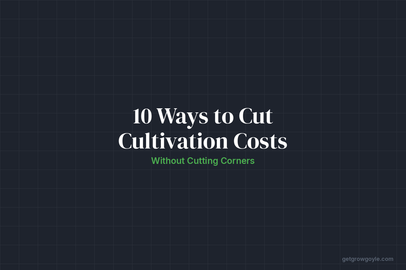 10 Ways to Cut Cannabis Cultivation Costs Without Cutting Corners