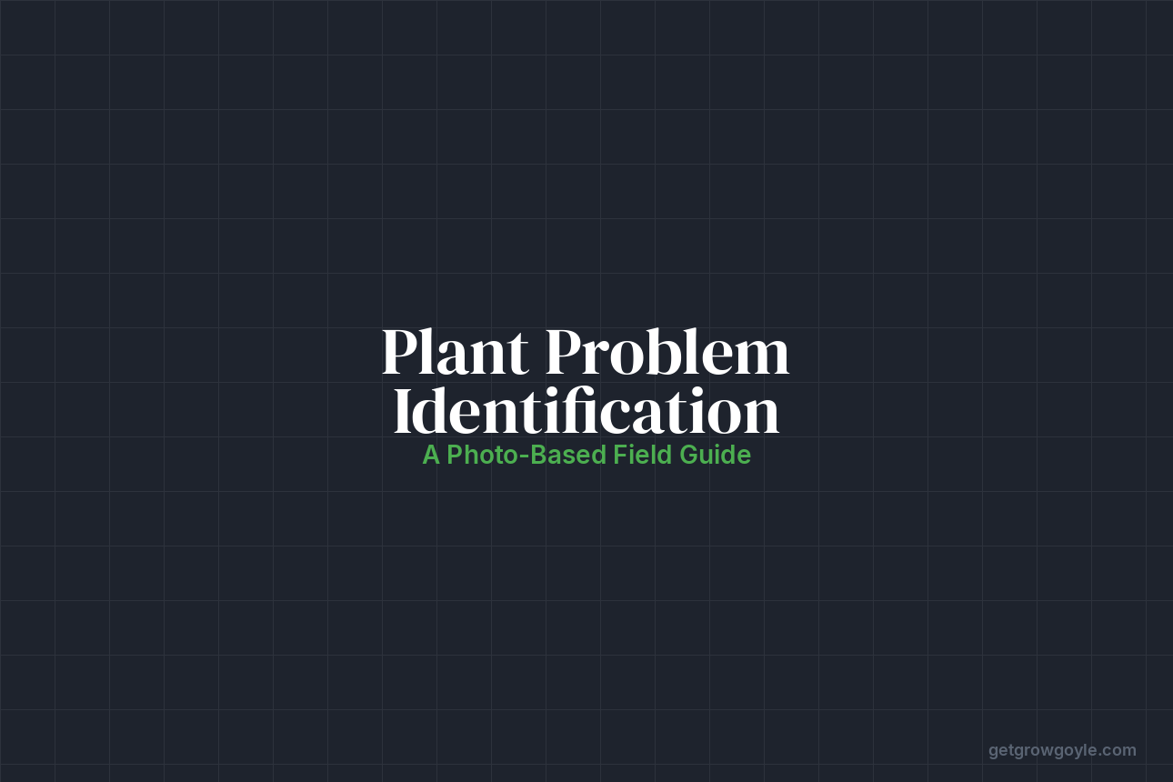 Cannabis Plant Problem Identification: A Photo-Based Field Guide