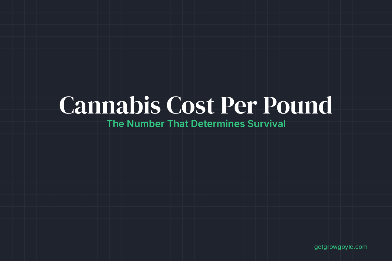 Cannabis Cost Per Pound: The Number That Determines Survival