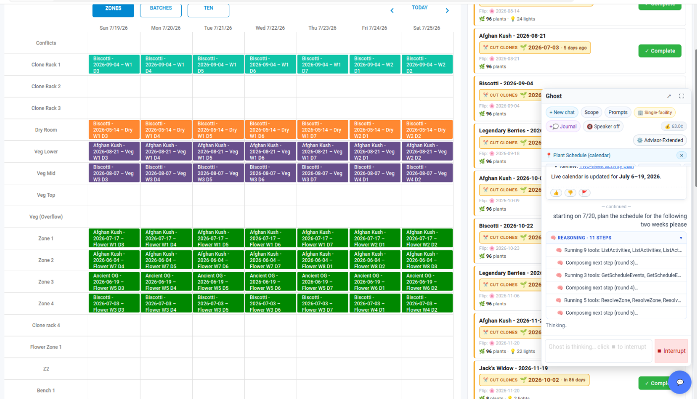 Full screen view of the two-week cultivation schedule