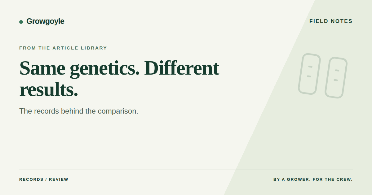 Why the Same Cannabis Genetics Produce Different Yields